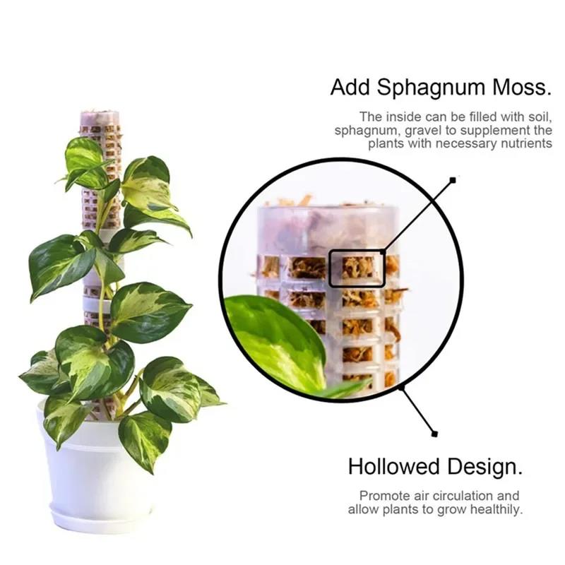 Sphagnum Moss Dry - Soporte para Plantas Trepadoras, Trepador de