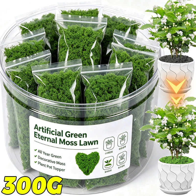 Sphagnum Moss Dry - Plantas Verdes Artificiales, Musgo de Vida
